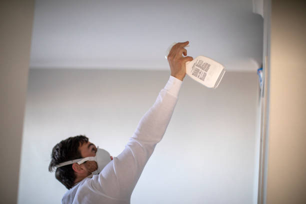 Best Mold Testing  in Elysburg, PA