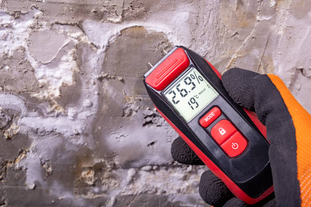 Best Mold Testing and Removal  in Elysburg, PA