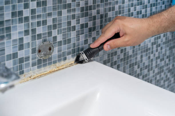 Best Black Mold Removal  in Elysburg, PA